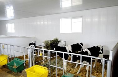 Giá tốt. In bóng cao 5 mm - 10 mm Tấm trần PVC cho tường / mái nhà trực tuyến